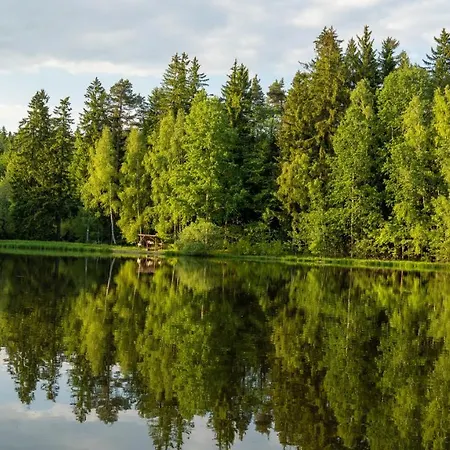 Kadov * Снежне